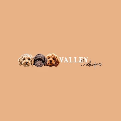 Valley Cockapoos