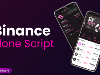 build-a-powerful-binance-like-crypto-exchange-platform