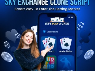 build-a-high-revenue-sportsbook-with-skyexchange-clone-script