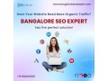 best-seo-expert-in-bangalore-seo-services-small-0