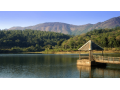 must-visit-places-in-chikkamagalur-for-an-unforgettable-trip-small-0