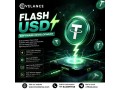why-choose-flash-usdt-software-development-for-your-digital-business-small-0
