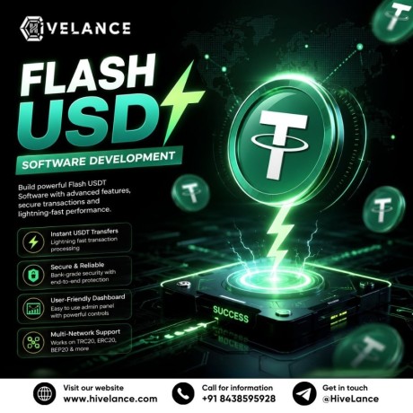 why-choose-flash-usdt-software-development-for-your-digital-business-big-0