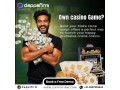 build-launch-earn-whitelabel-stake-software-with-free-demo-small-0