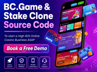 business-ready-bcgame-stake-casino-clone-for-quick-market-entry