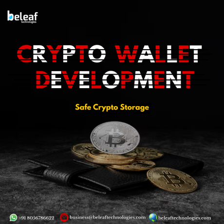 leading-the-way-in-blockchain-ecosystem-with-secure-crypto-wallets-big-0