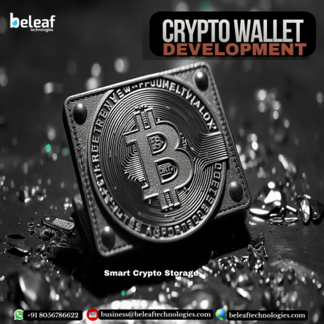 protect-your-assets-with-innovative-crypto-wallet-development-big-0