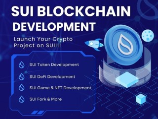 future-proof-your-dapp-project-with-expert-sui-blockchain-solutions