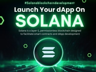launch-your-dapp-project-on-solana-with-solana-blockchain-development