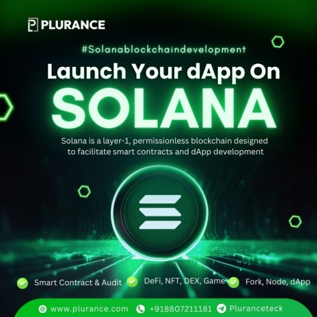 launch-your-dapp-project-on-solana-with-solana-blockchain-development-big-0
