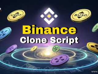 best-binance-clone-script-provider-in-usa