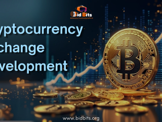 top-cryptocurrency-exchange-development-services-provider-in-usa