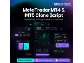 where-can-get-demo-of-metatrader-clone-script-with-virtual-trading-small-0