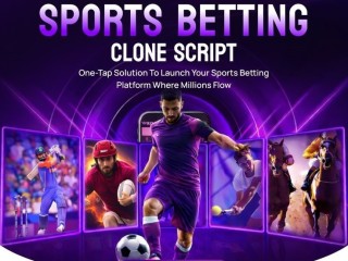 ready-to-launch-sports-betting-clone-script-with-ai-features