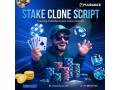build-brand-and-boom-with-stake-clone-software-small-0