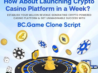 how-does-a-bcgame-clone-script-ensure-high-roi-in-crypto-casinos