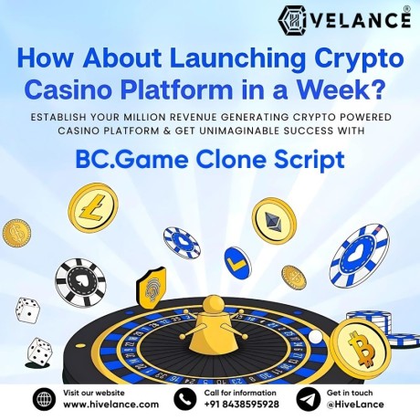 how-does-a-bcgame-clone-script-ensure-high-roi-in-crypto-casinos-big-0
