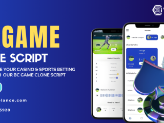 bc-game-clone-script-launch-your-decentralized-betting-exchange